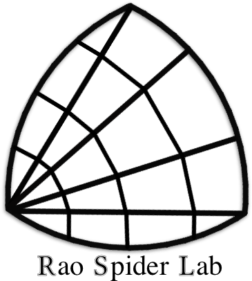 Rao Spider Lab